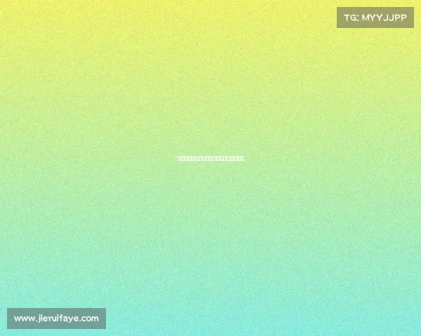 世界散打顶尖赛事盛典，全球高手巅峰对决