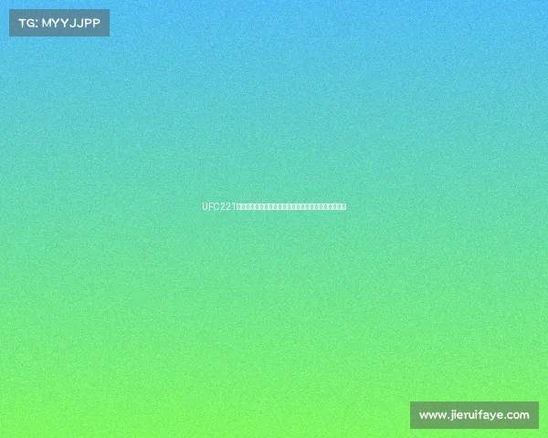 UFC221澳大利亚珀斯终极格斗卢克罗克霍尔德对阵尤尔罗梅罗